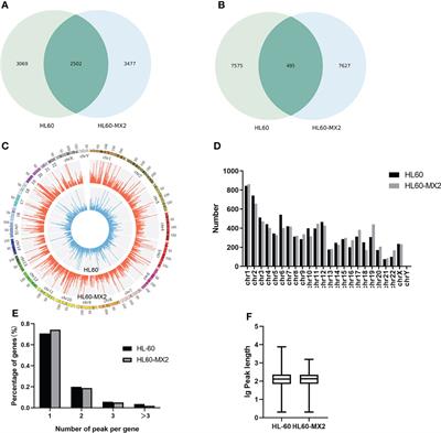 Transcriptome Profiling of N7-Methylguanosine Modification of Messenger RNA in Drug-Resistant Acute Myeloid Leukemia